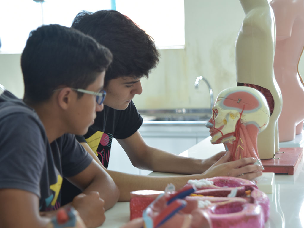 Laboratório em Ação